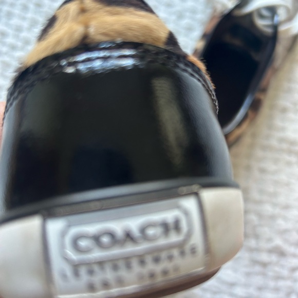 Coach 7.5 Signature C Zorra sneakers with cheetah trim. Really good shape. - Picture 4 of 12